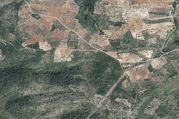 Castellón/Castelló