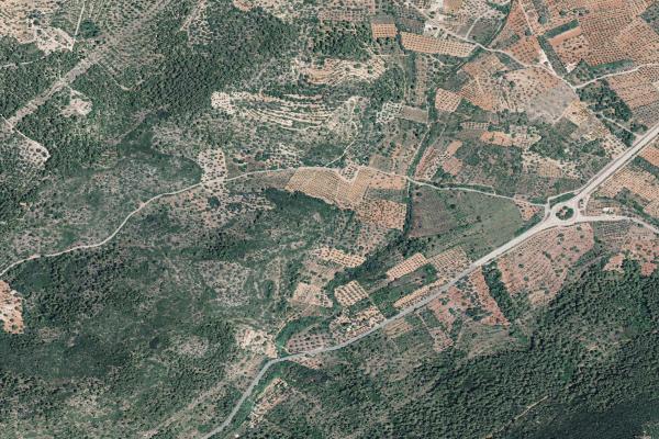 Castellón/Castelló