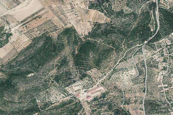 Castellón/Castelló