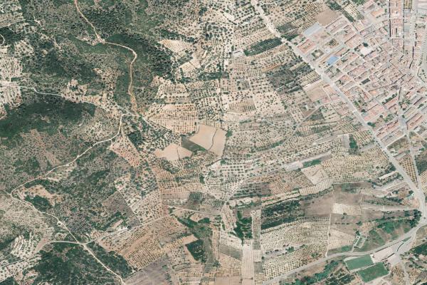 Castellón/Castelló