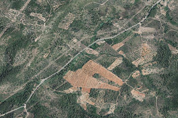 Castellón/Castelló