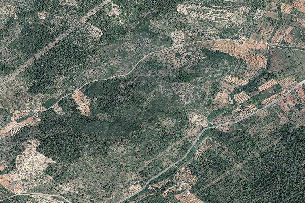 Castellón/Castelló