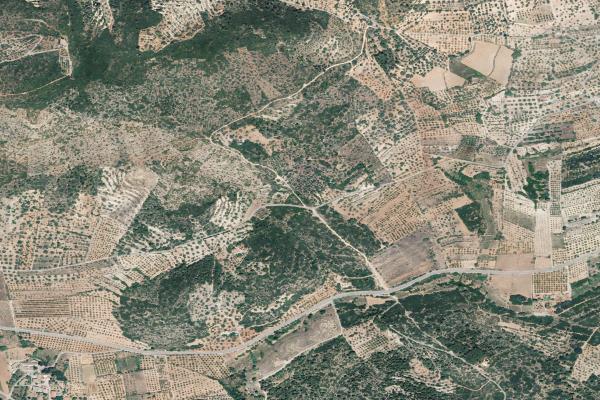 Castellón/Castelló