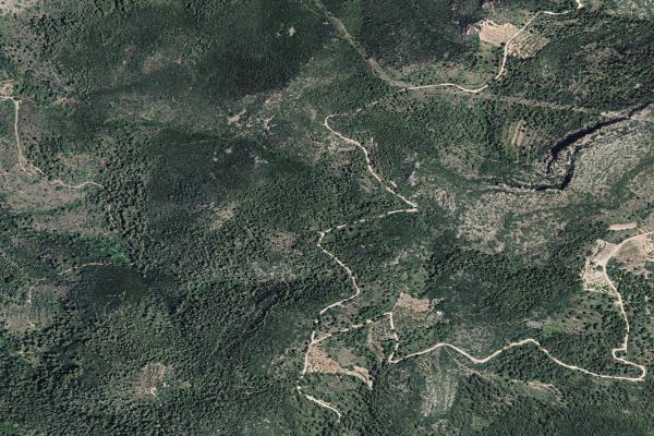 Castellón/Castelló