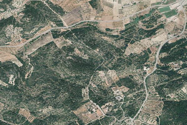 Castellón/Castelló