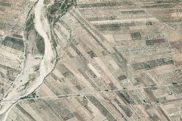 Castellón/Castelló