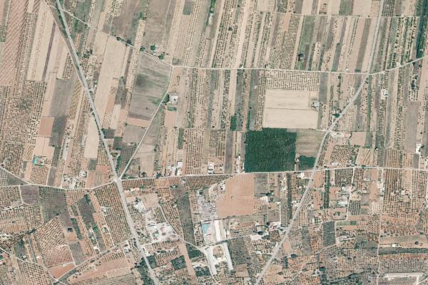 Castellón/Castelló