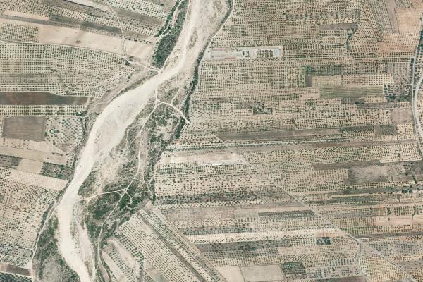 Castellón/Castelló