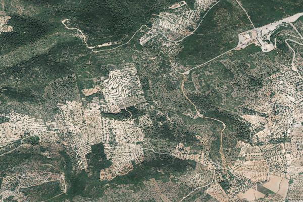 Castellón/Castelló