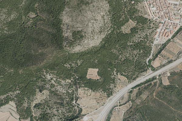 Castellón/Castelló