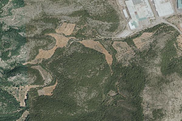 Castellón/Castelló