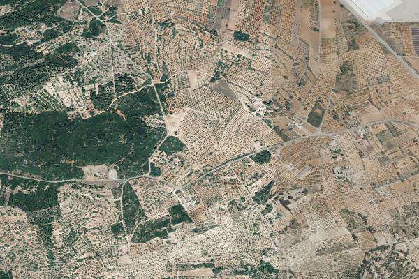 Castellón/Castelló