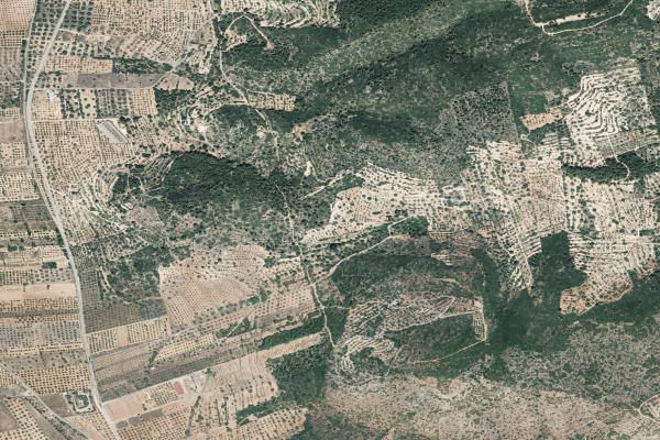 Castellón/Castelló