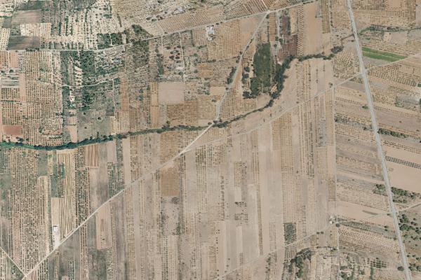 Castellón/Castelló