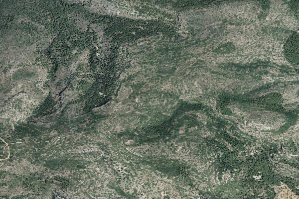 Castellón/Castelló