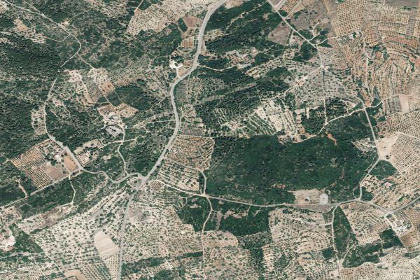 Castellón/Castelló