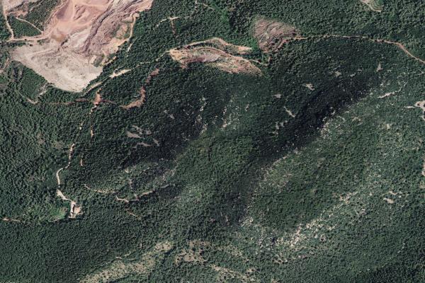 Castellón/Castelló