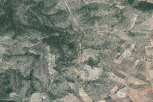 Castellón/Castelló