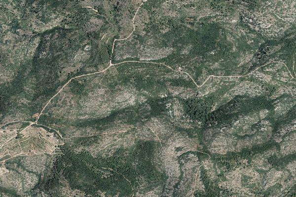 Castellón/Castelló