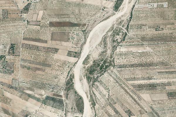 Castellón/Castelló