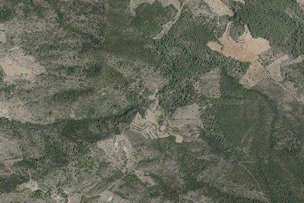 Castellón/Castelló