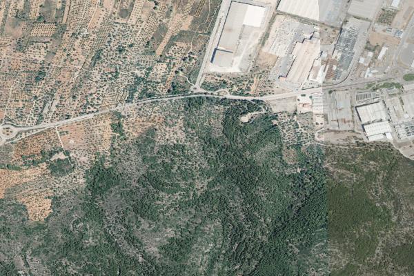 Castellón/Castelló