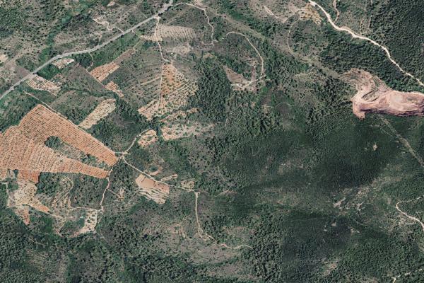 Castellón/Castelló