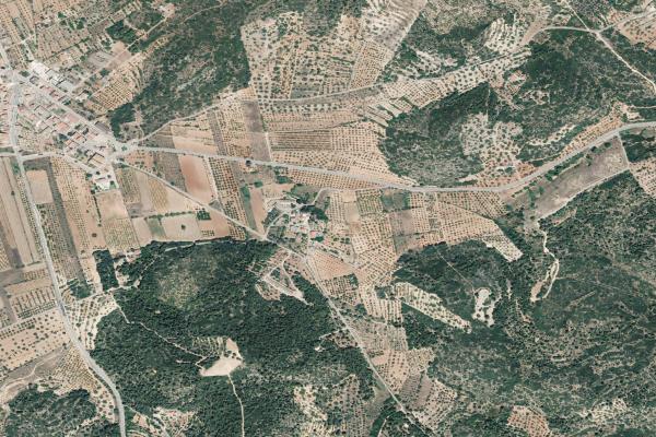 Castellón/Castelló