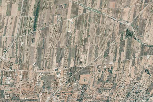 Castellón/Castelló