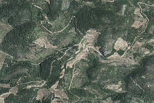 Castellón/Castelló