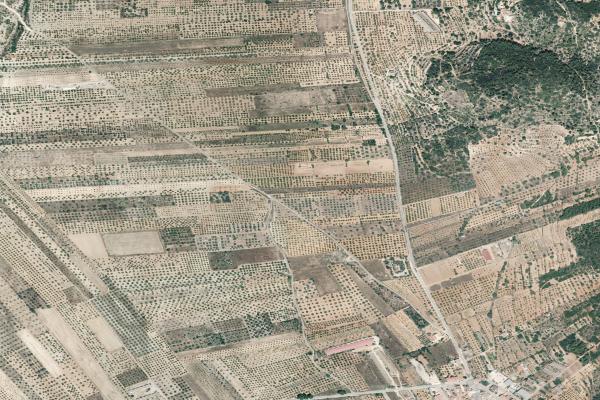 Castellón/Castelló