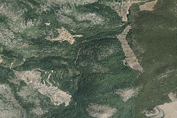 Castellón/Castelló