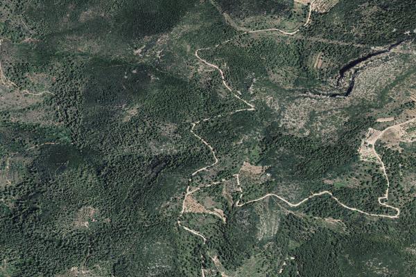 Castellón/Castelló