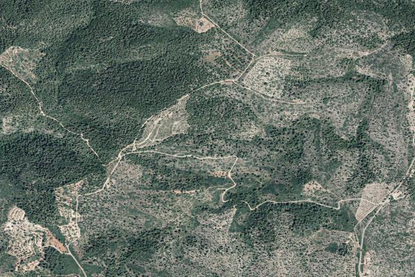 Castellón/Castelló