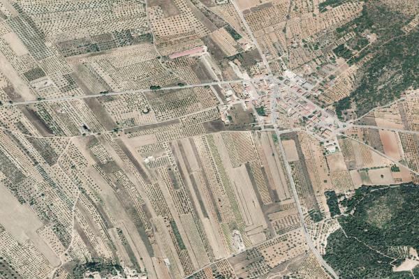 Castellón/Castelló