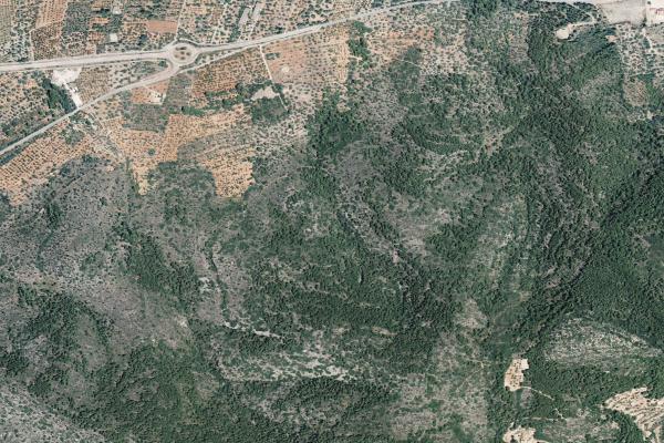 Castellón/Castelló