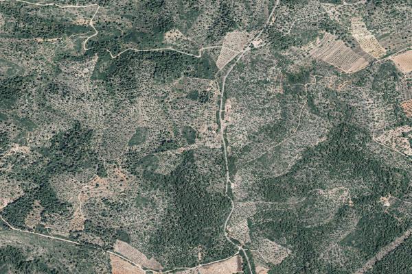 Castellón/Castelló