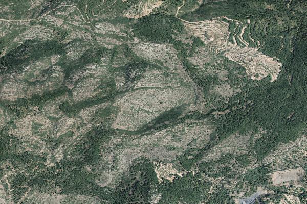 Castellón/Castelló