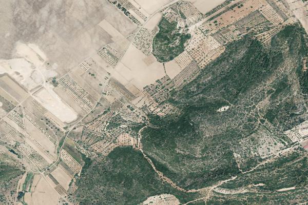 Castellón/Castelló