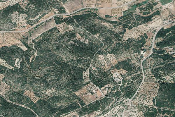 Castellón/Castelló