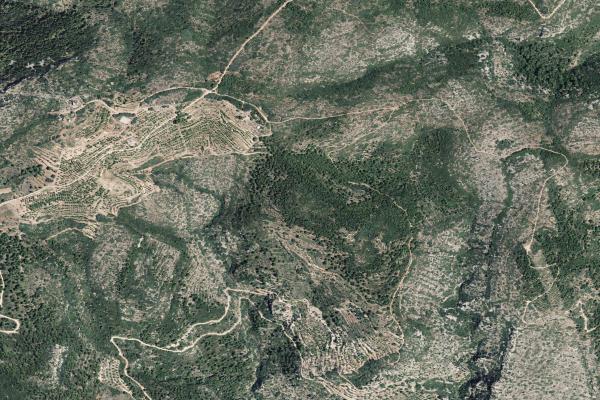 Castellón/Castelló