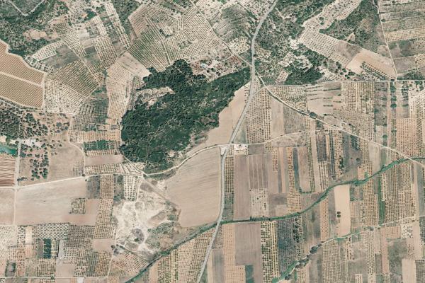 Castellón/Castelló