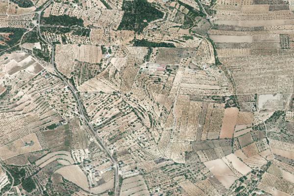 Castellón/Castelló