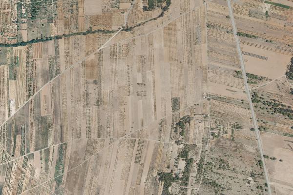 Castellón/Castelló