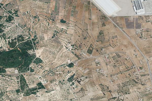 Castellón/Castelló