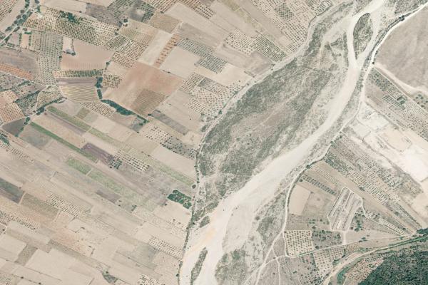 Castellón/Castelló