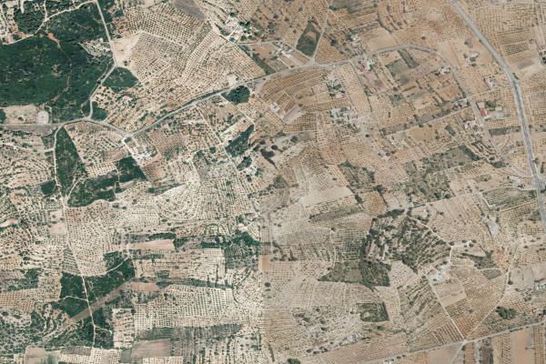 Castellón/Castelló