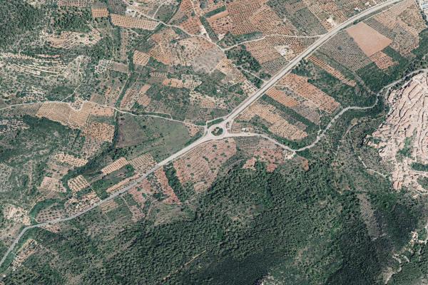 Castellón/Castelló