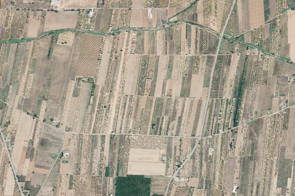 Castellón/Castelló