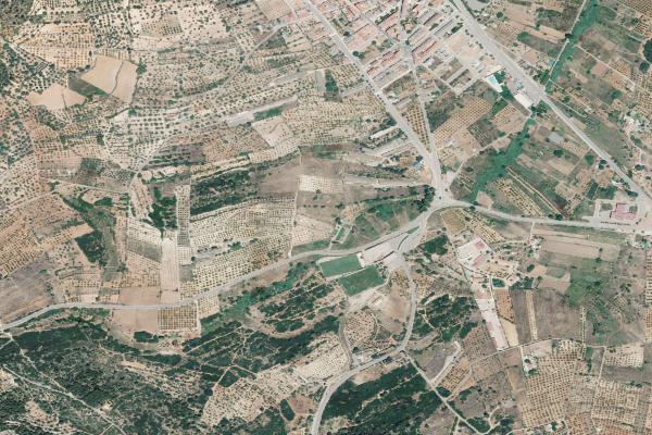 Castellón/Castelló